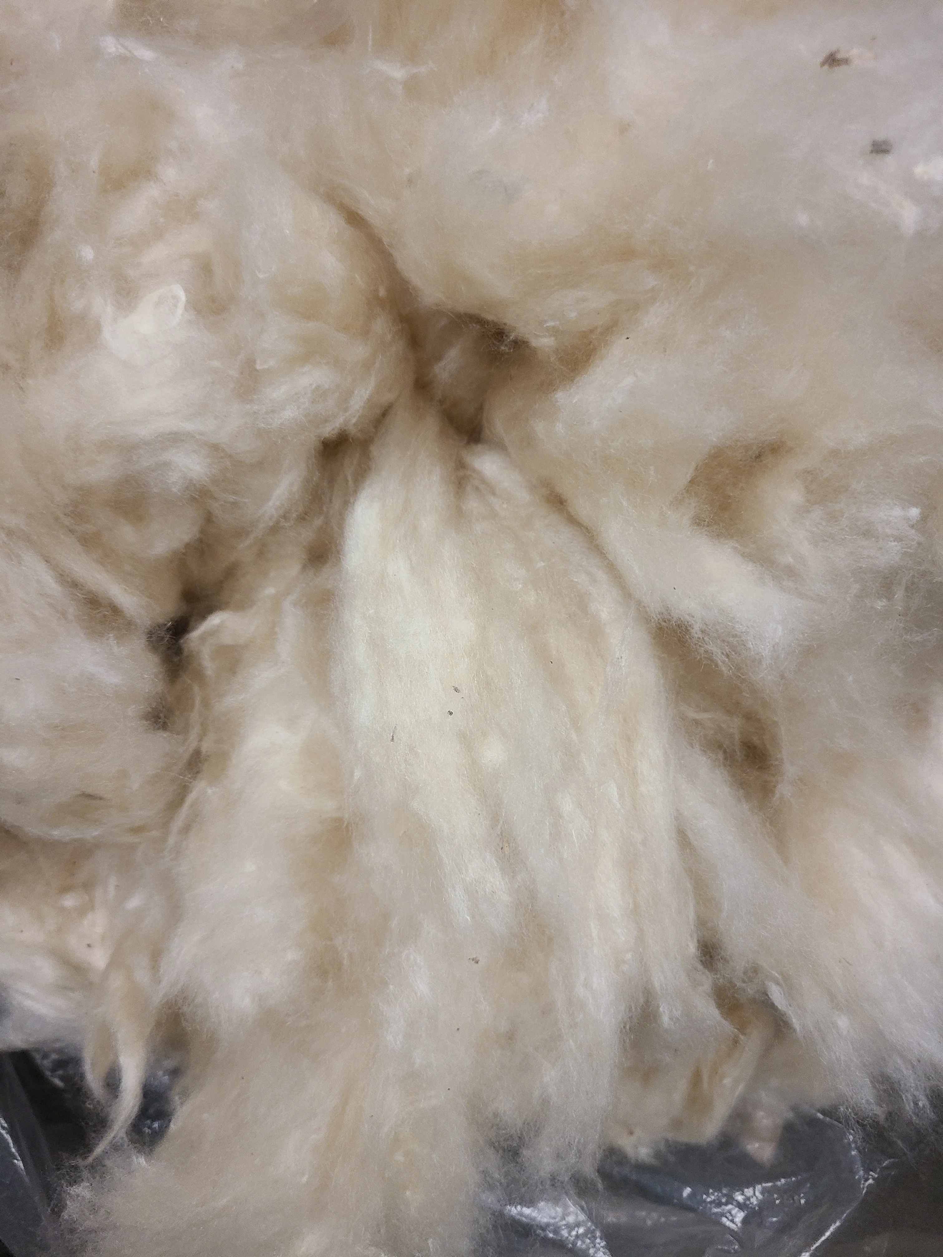 Body Pillow 100% Natural Kapok - Image 5