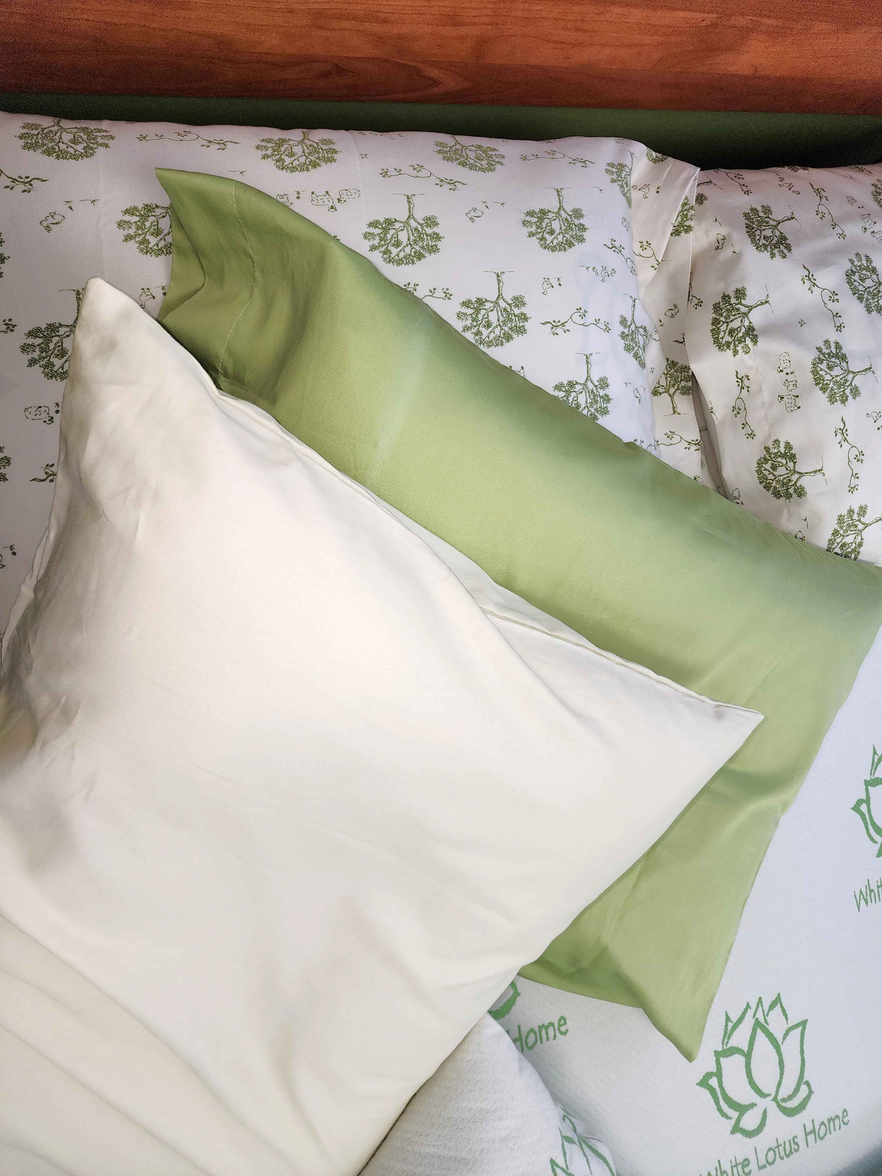 Child's Junior Pillow - Eco-Wool with Organic Cotton Cover - Image 3