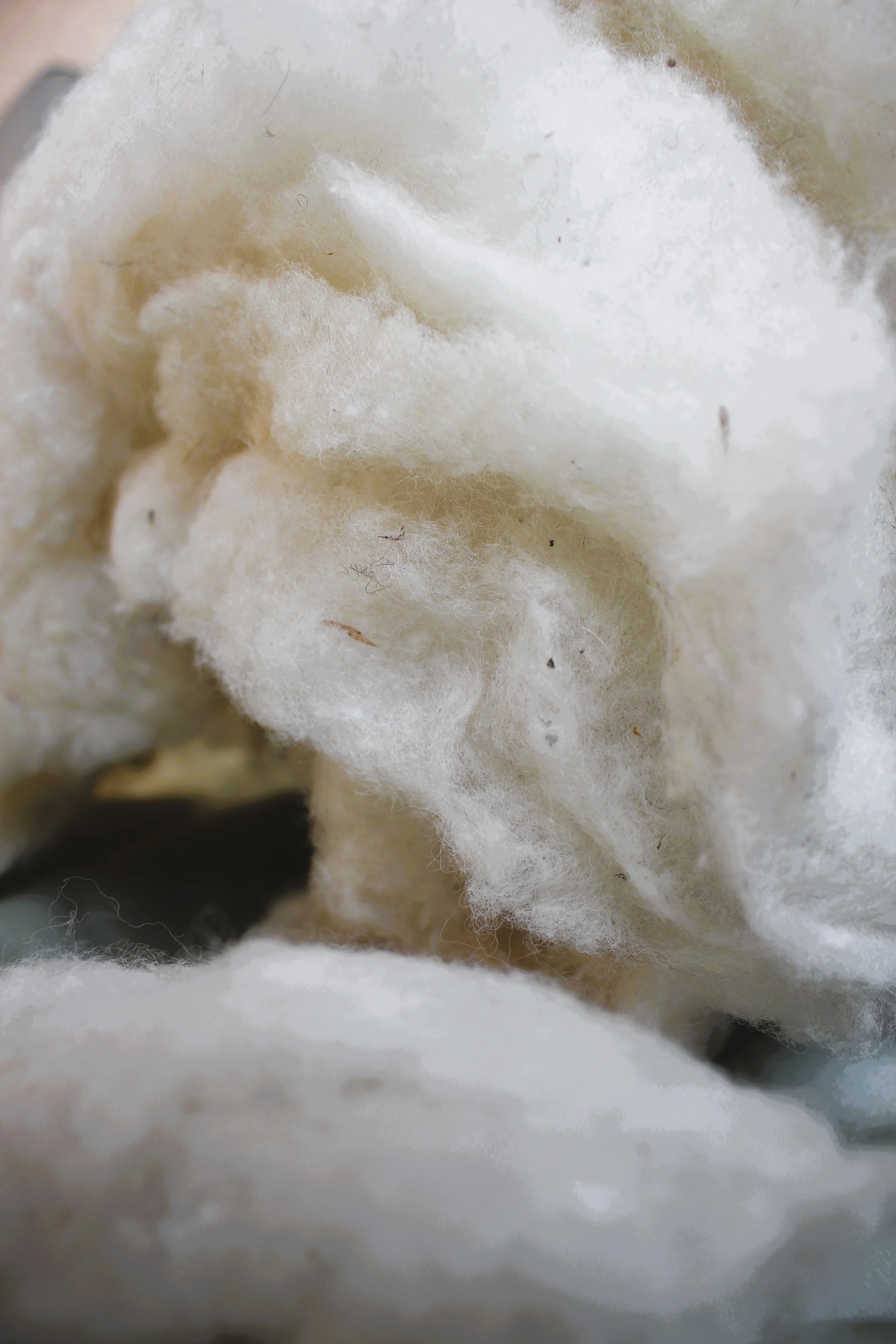 Child's Junior Pillow - Eco-Wool with Organic Cotton Cover - Image 4