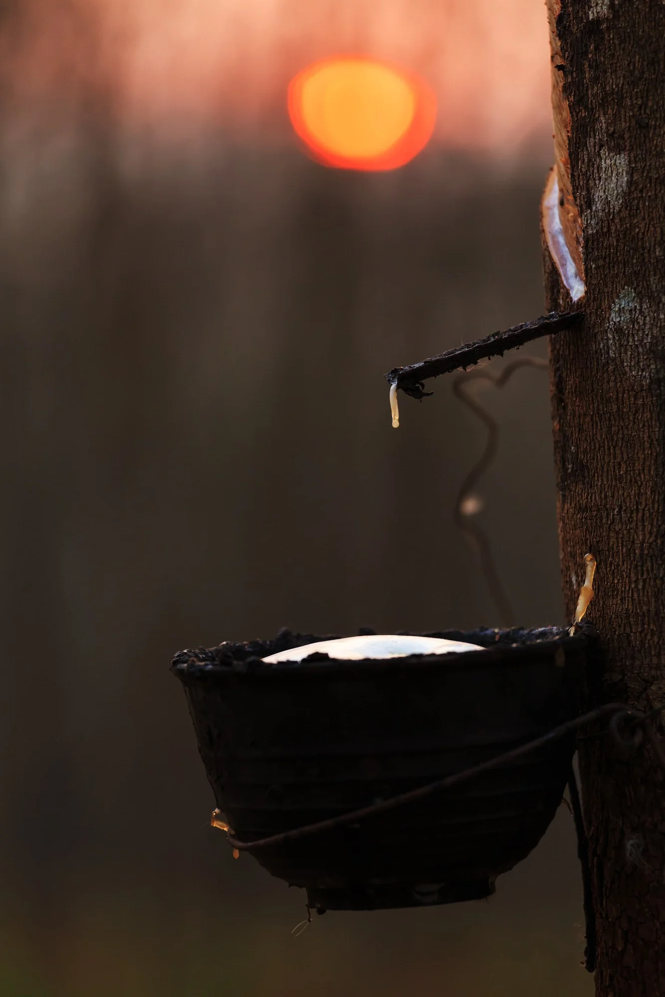 100% Natural Shredded Latex with Organic Cotton Cover - Standard Size - Image 3