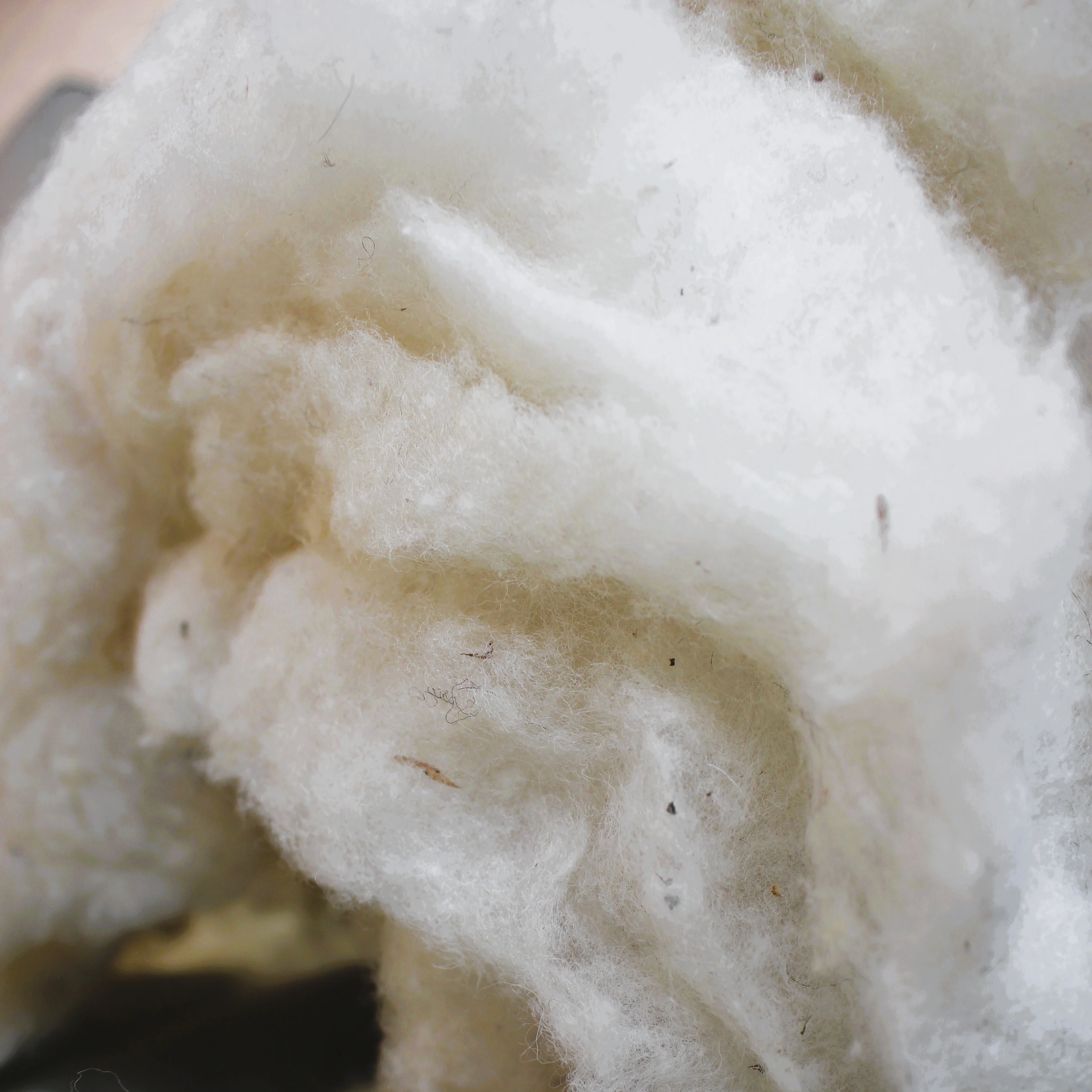 100% Eco-Wool Pillow Decorative Inserts - Image 3